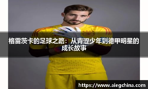 PA视讯平台